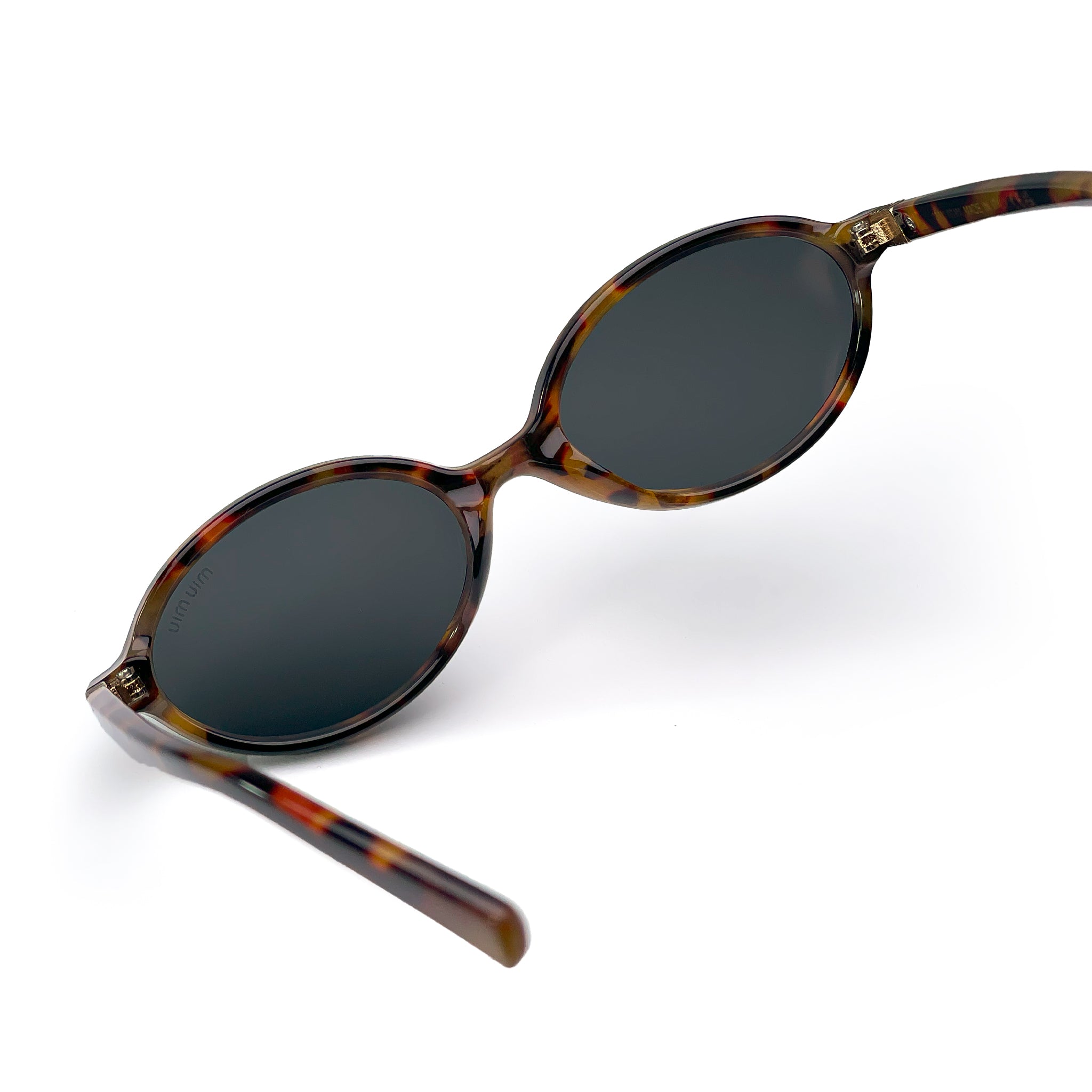Miu Miu Tiger Black Sunglasses – Statement Women's Frame